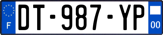 DT-987-YP