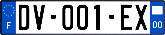 DV-001-EX