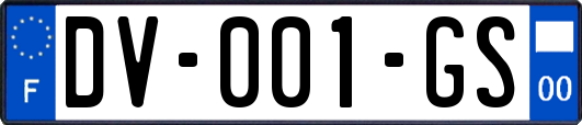 DV-001-GS