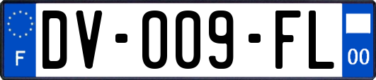 DV-009-FL