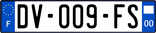 DV-009-FS