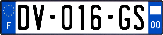 DV-016-GS