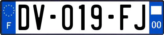 DV-019-FJ