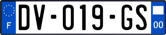 DV-019-GS