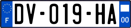 DV-019-HA