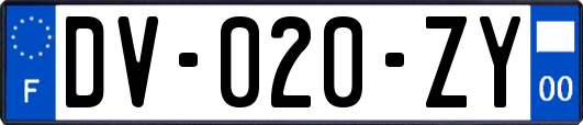 DV-020-ZY