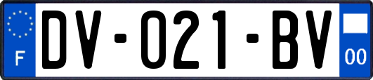 DV-021-BV