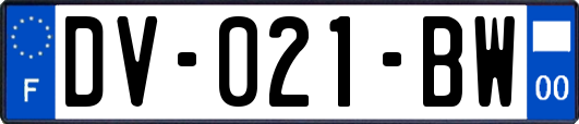 DV-021-BW