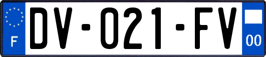 DV-021-FV