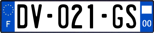DV-021-GS