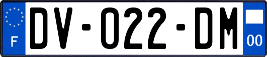 DV-022-DM