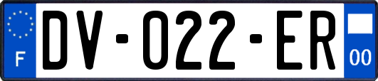 DV-022-ER