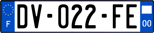 DV-022-FE