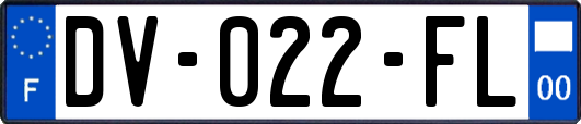 DV-022-FL