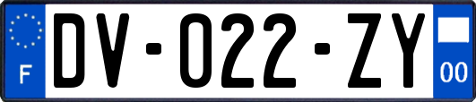 DV-022-ZY