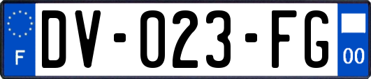 DV-023-FG