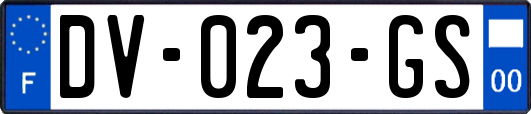 DV-023-GS