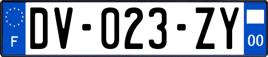 DV-023-ZY