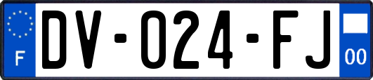 DV-024-FJ