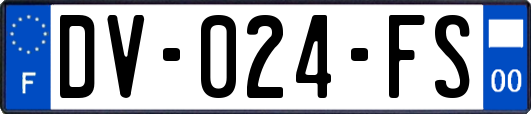 DV-024-FS