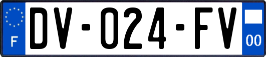 DV-024-FV