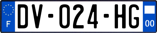 DV-024-HG