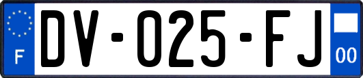 DV-025-FJ