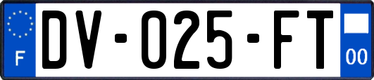 DV-025-FT