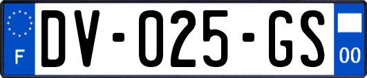 DV-025-GS