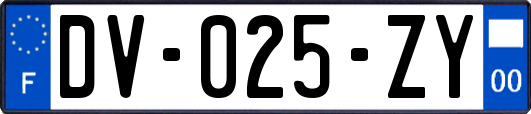DV-025-ZY