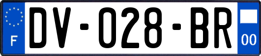 DV-028-BR