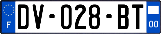 DV-028-BT