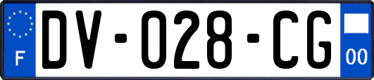 DV-028-CG