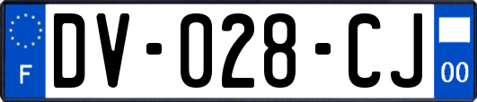 DV-028-CJ