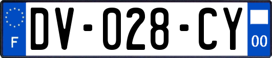 DV-028-CY