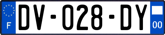 DV-028-DY