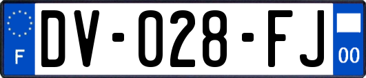 DV-028-FJ