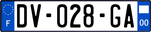 DV-028-GA