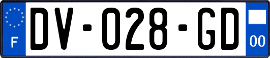 DV-028-GD