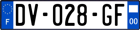 DV-028-GF