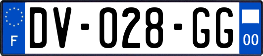 DV-028-GG