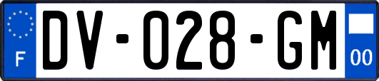 DV-028-GM