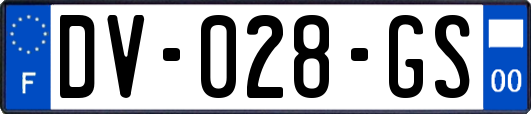 DV-028-GS