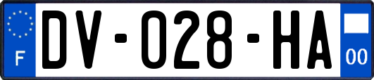 DV-028-HA