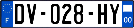 DV-028-HY