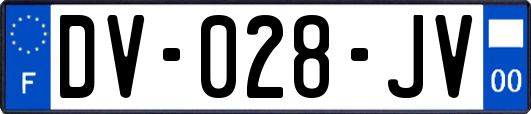 DV-028-JV