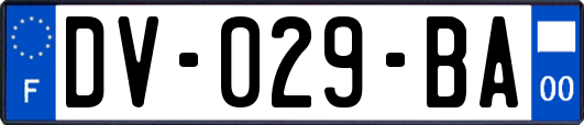 DV-029-BA