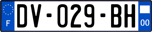 DV-029-BH