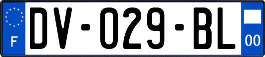 DV-029-BL