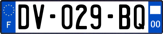 DV-029-BQ